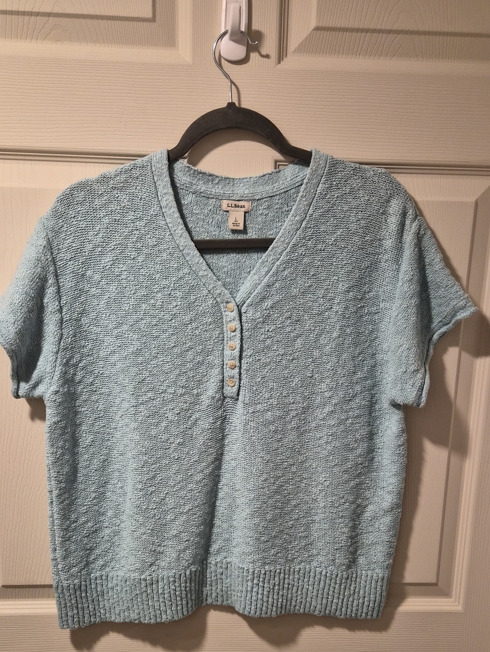 L.L. Bean Pale Blue Textured V-Neck Short Sleeve Sweater